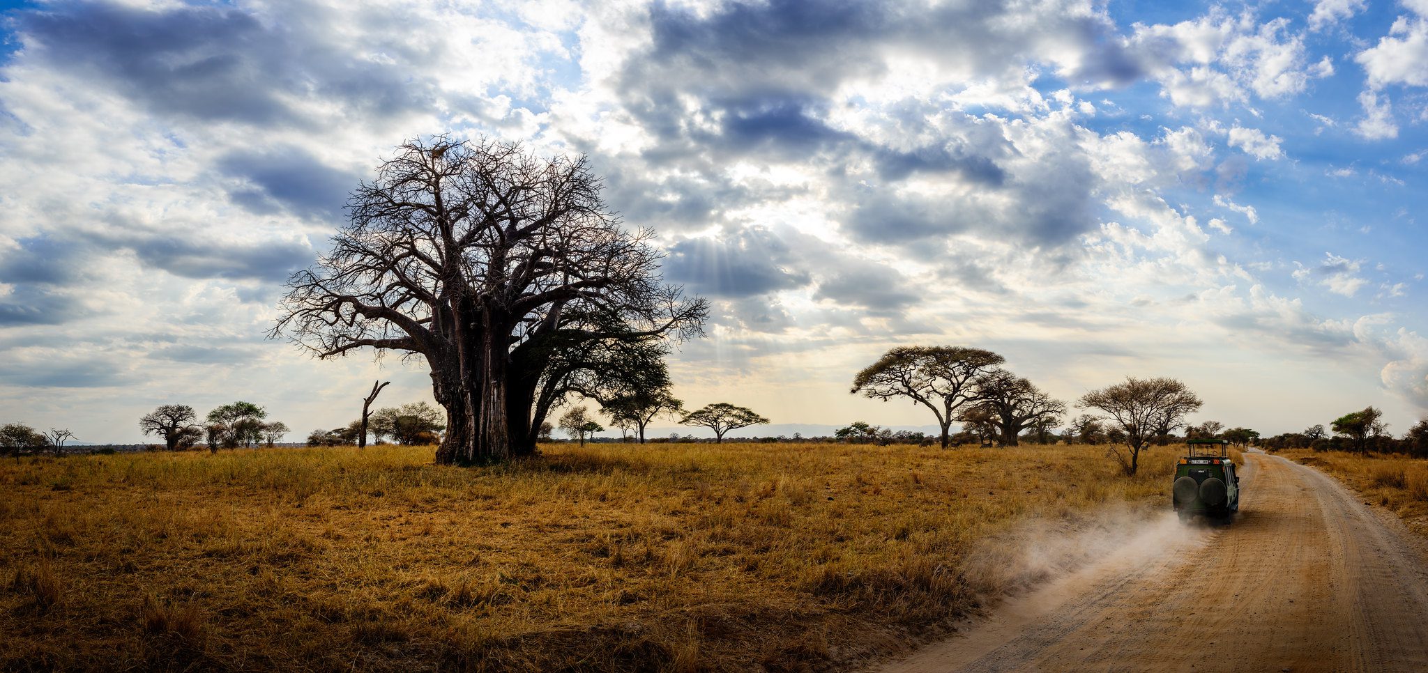 Tarangire National Park