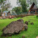 6 Days Marangu route