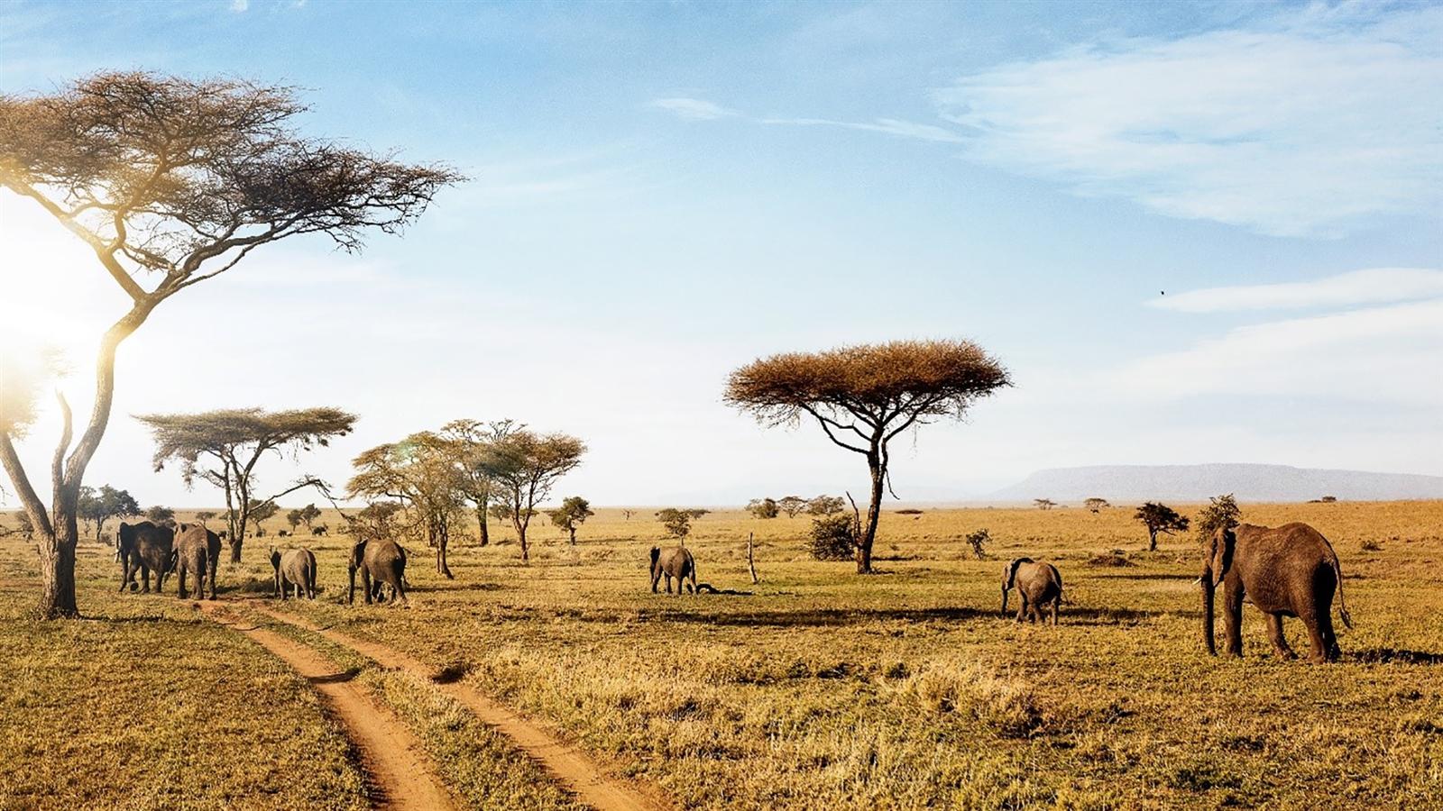 Serengeti National Park