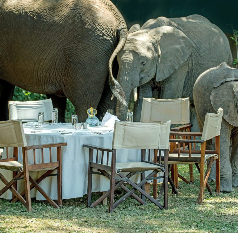 Kenya Safari